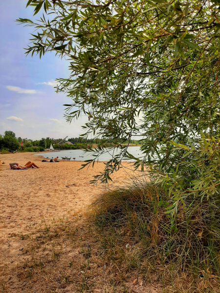 Titelbild Baggersee Karlsruhe